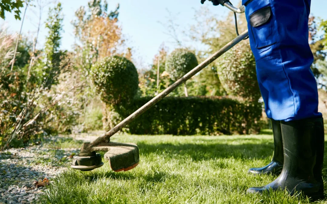 Crafting Year-Round Landscaping Magic